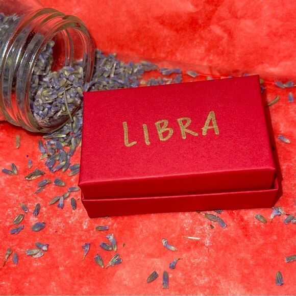 LIBRA IRON & SILVER DOUBLE SIDED ZODIAC DROP EARRINGS - Picture 5 of 5